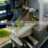 iceberg lettuce flexible film wrapping machine