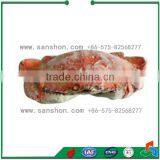 China IQF Spiral Freezer thumbnail-6