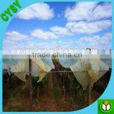 Greenhouse Film Factory Supply Agricultural Anti-uv Greenhouse Plastic Film Cover thumbnail-2