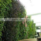 Decorative Partition Wall/fake Plant Wall for Indoor and Outdoor Decoration With Factory Price thumbnail-1