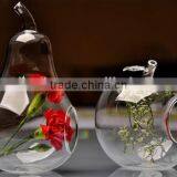 Apple and Pear Shaped Glass Vase / Clean Glass Vase / Glass Vase thumbnail-1