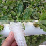 30mm Diameter Garden Plants Hydroponic Grow System Net Pot PP Mesh Cup thumbnail-2
