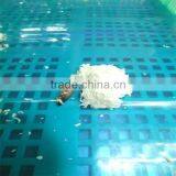 Best Season Frozen Wholesale Shrimp thumbnail-1