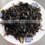 Goma Konbu thumbnail-1