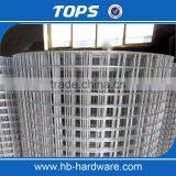 Pvc Coated Welded Wire Mesh( Electro Galvanized/hot Dip Galvanized/PVC Coated) for Fence/tree Guard/construction thumbnail-1