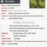 Free Design Plant Wall Artificial Vertical Garden Wall Plant Indoor Plant thumbnail-6