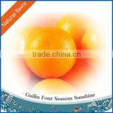 Perfume Sweet Orange Oil Fragrance thumbnail-1