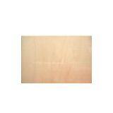Full Birch Plywood thumbnail-1