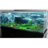 Amazon Background Wall thumbnail-1