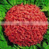 Commercial Meat Mixer Machine,meat Mixing Machine thumbnail-6