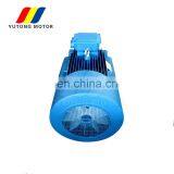 Y2 Series 1000KW Electrical Three Phase Induction Water Pump Motor Price for Sale thumbnail-4