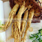 Best Price White Panax Ginseng With Tails, Panax Ginseng