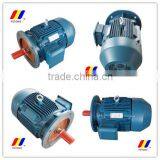 IE2/IE3 High Efficiency High Speed Three Phase Asynchronous Electric Motor thumbnail-3