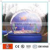 Inflatable Wedding Snow Globe for Sale