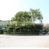 Ningbo Sunbay Valve Factory company overview - view 1 thumbnail