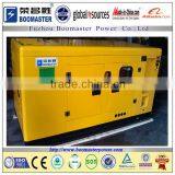 AC Three Phase Output Type Ricardo Diesel Engine Generator