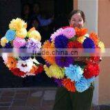 Colorful Tissue Flowers thumbnail-1