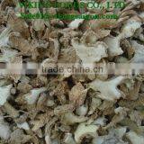 DRIED GINGER _ GOOD QUALITY, BEST PRICE thumbnail-4