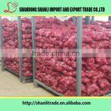 Nutritious Vegetable ,fresh Red Onion,long Shelf Time thumbnail-3