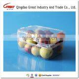 Clear Transparents Clamshell Blister Plastic Fruit Packaging Container 350Gram thumbnail-3