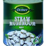 Canned Straw Mushroom half,canned mushroom,canned vegetable