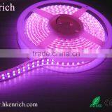 Pink Color Led Strip Light Double Line Leds 120pcs thumbnail-3
