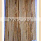 HPL/Furniture Surface Board/Fireproof Cabinet Laminate/High Pressure Laminate/Wall Cladding/Compact Laminate/Kitchentop