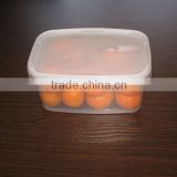 3L plastic rectangular bucket for fruit