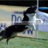 Eco-friendly Silicone Flying Disc for Dog China