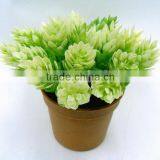 H11cm Plastic New Cone Pine Potted Flowers for Table Decoration thumbnail-1