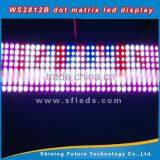 Ws2812b Led Light Display/flexible Led Display Panels/flexible Led Curtain Display