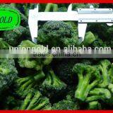 Best Price IQF Frozen Broccoli thumbnail-1