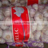 Purple Mesh Bag Fresh Normal White Garlic thumbnail-3