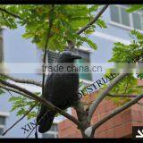 Non-flocked/ Flocked Black Crow Decoy for Hunting thumbnail-2