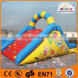 Factory Supplier Clown Backyard Inflatable Water Slides