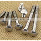 Stainless Carriage Bolt Din603/stainless304 Din 603/din603 304 Stainless Steel thumbnail-3