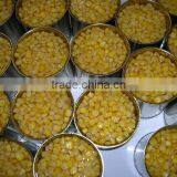 Canned Sweet Corn thumbnail-1