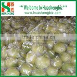 Fresh fruits/Chinese fruits/Fresh honey pomelo for sales