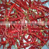 dried red chillies with stem