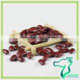Dark Red Kidney Beans For Can Processing thumbnail-3
