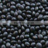 High Quality Vietnam Black Bean for Sale thumbnail-1