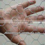 SS Chicken Wire Netting