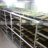 BK Conveyor Culture thumbnail-1