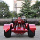4 Wheeler Atv for Adults 300cc Racing Atv Cheap Quad Bike (JEA-31A-09) thumbnail-6