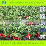 Good Daylight and UV-resistance Vegetable/fruit/flower Greenhouse thumbnail-3