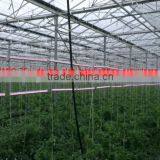 2017 Wholesale Indoor Farm Lighting for Greenhouse Tomatoes/cucumber/rose Etc., thumbnail-4
