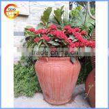 Ceramic Type Material Round Red Terra Cotta Garden Flower Pot thumbnail-2