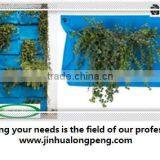 Blue Wall Mount Plant Pot Felt,Vertical Garden Grow Bags,Vertical Flower Wall Planter thumbnail-1