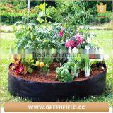 Home Garden Balcony Garden Pots of Organic Vegetables Planting Large Garden Pots thumbnail-5