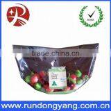 Hange Plastic Fruit Packing Protection Bag With Air Holes thumbnail-3